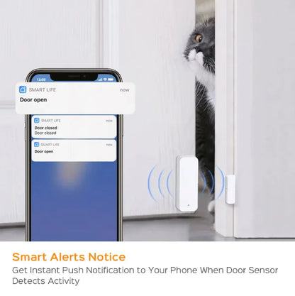 Next-Gen Smart Door Sensor